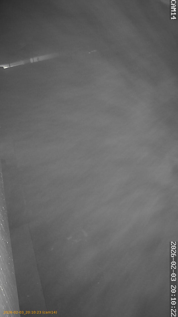 thumbnail_20260203201023