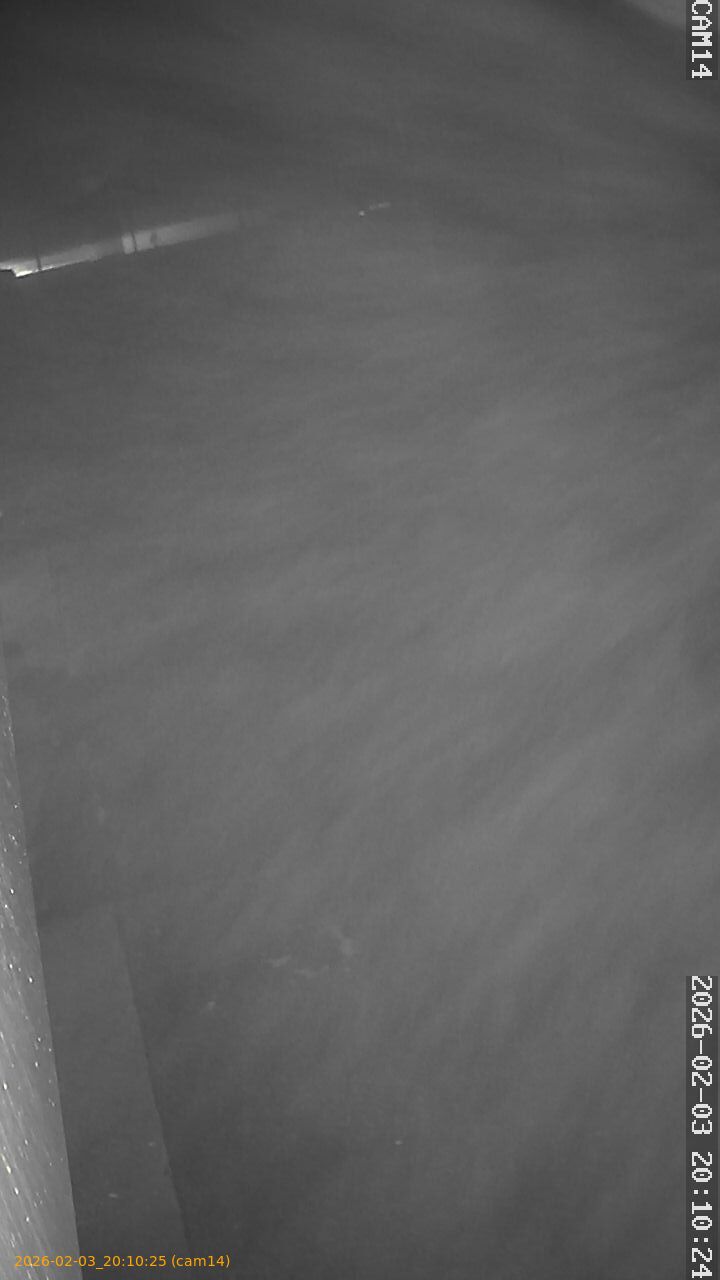 thumbnail_20260203201025