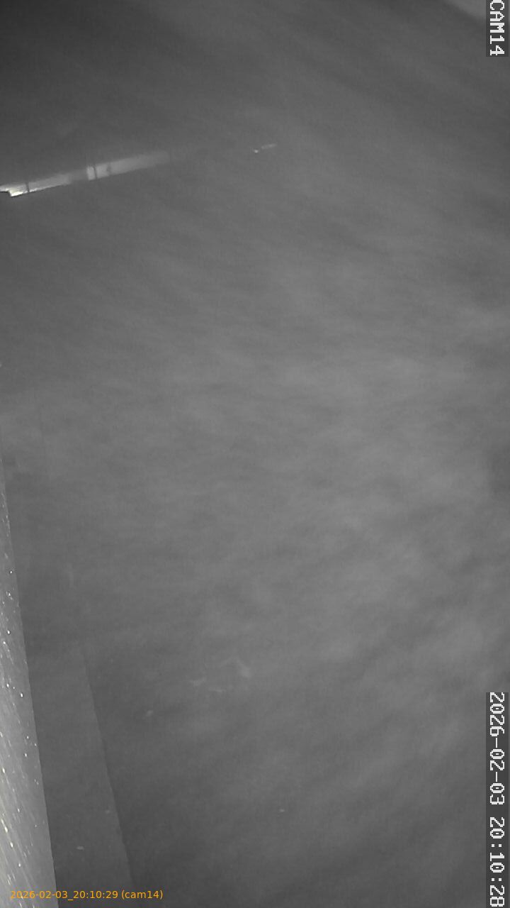 thumbnail_20260203201029