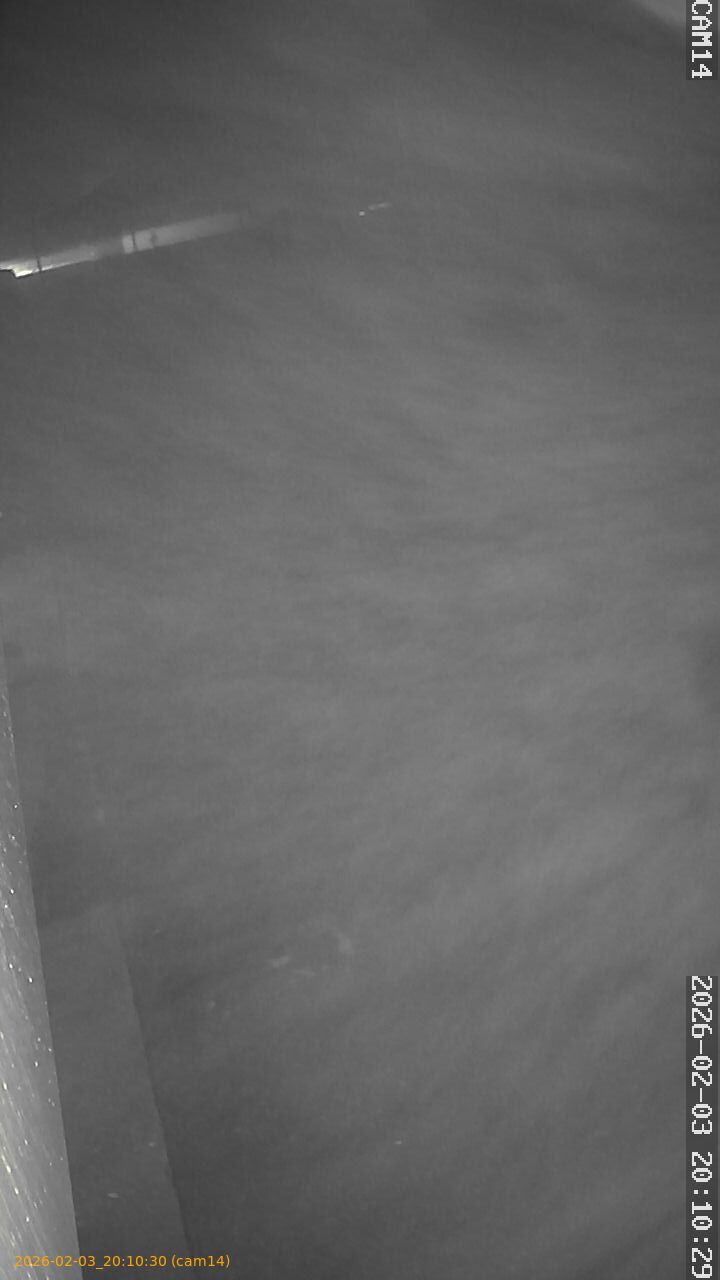 thumbnail_20260203201030