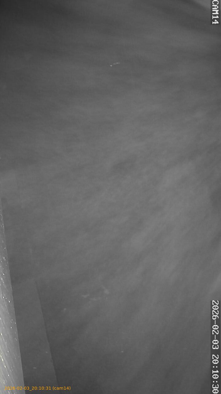 thumbnail_20260203201031