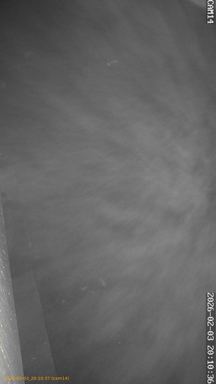 thumbnail_20260203201037