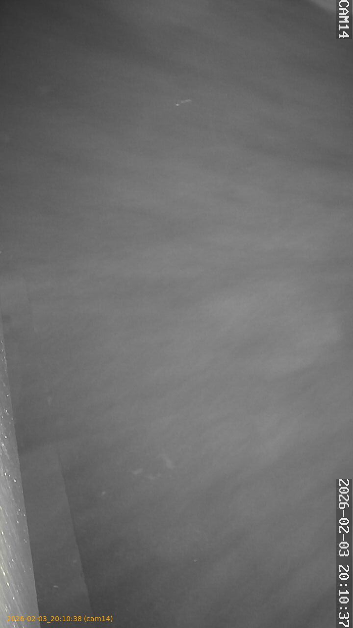 thumbnail_20260203201038