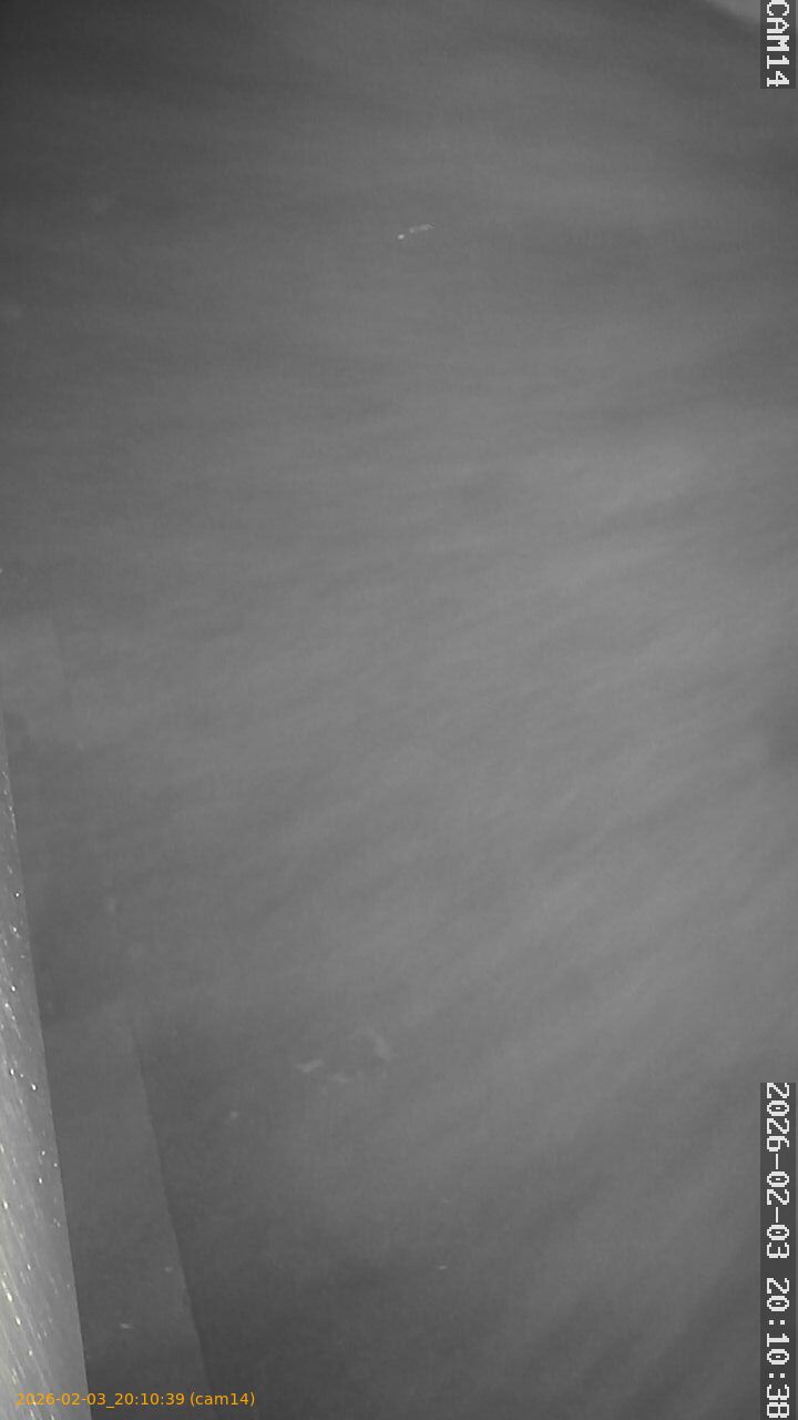 thumbnail_20260203201039