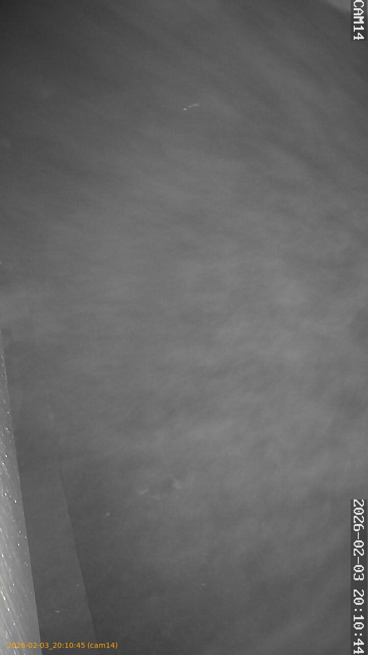 thumbnail_20260203201045