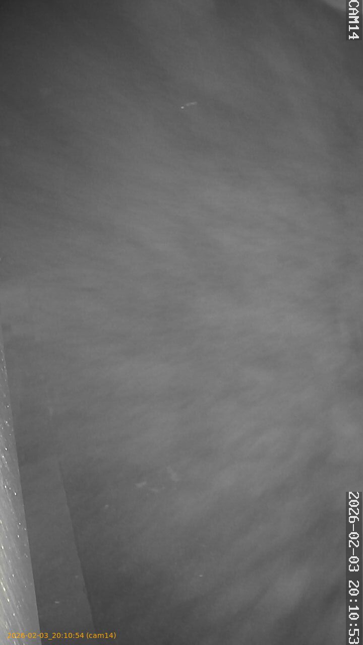 thumbnail_20260203201054