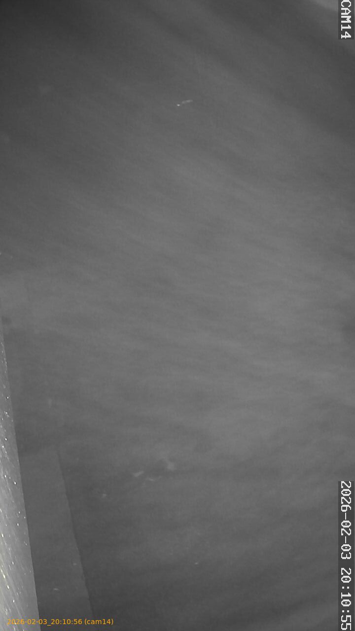 thumbnail_20260203201056