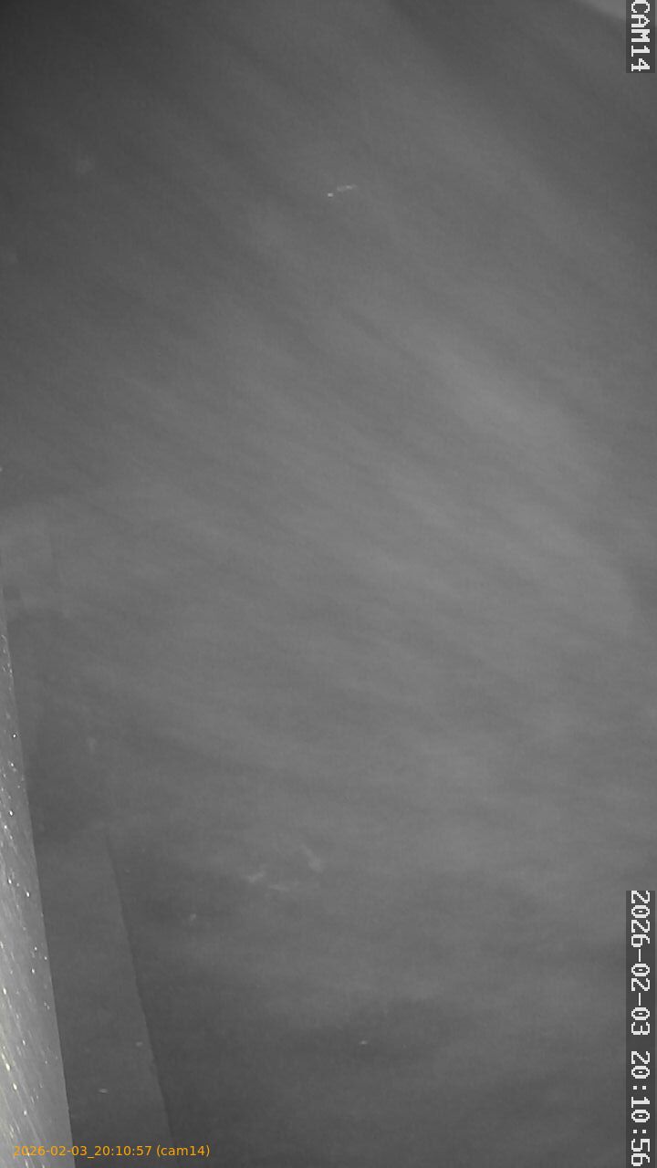 thumbnail_20260203201057