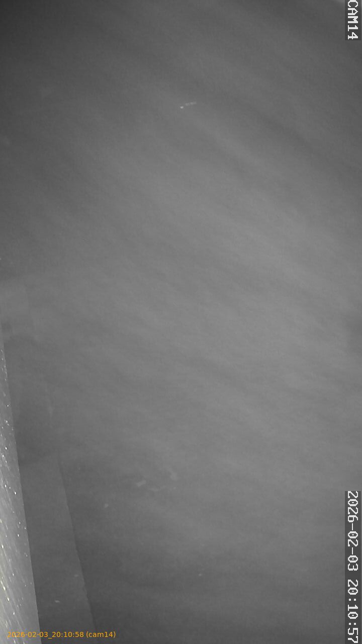 thumbnail_20260203201058