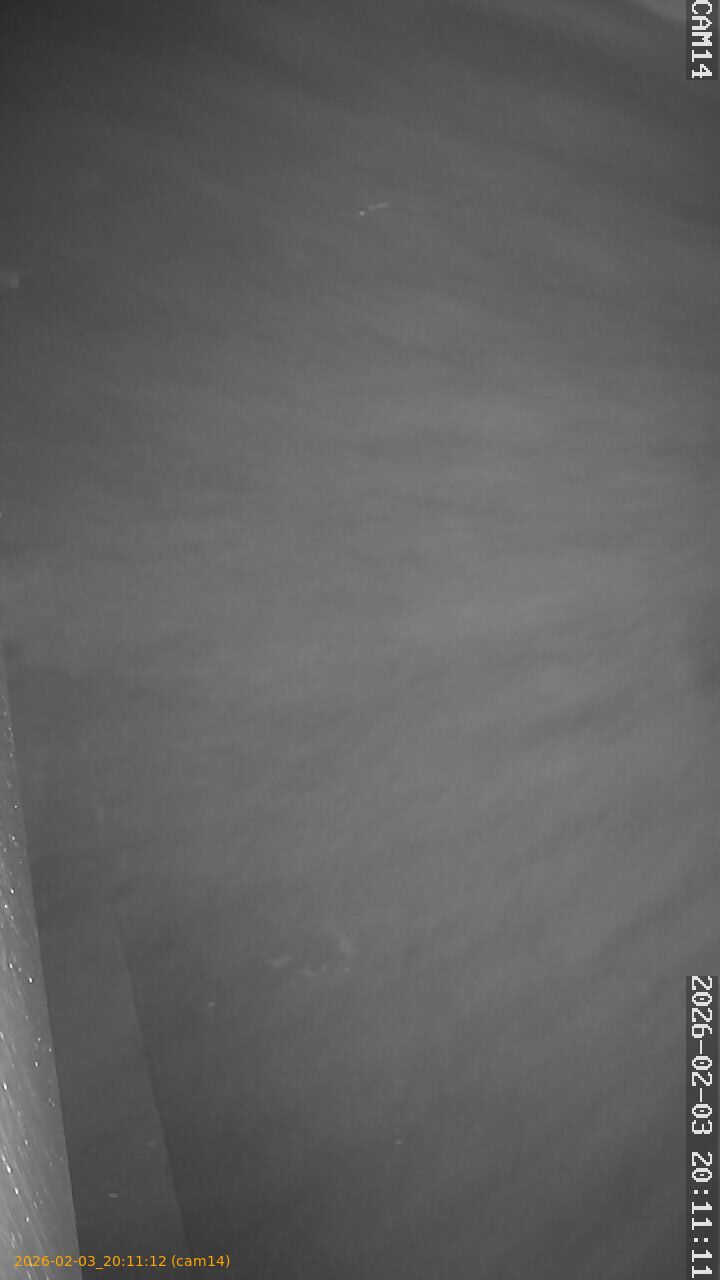 thumbnail_20260203201112