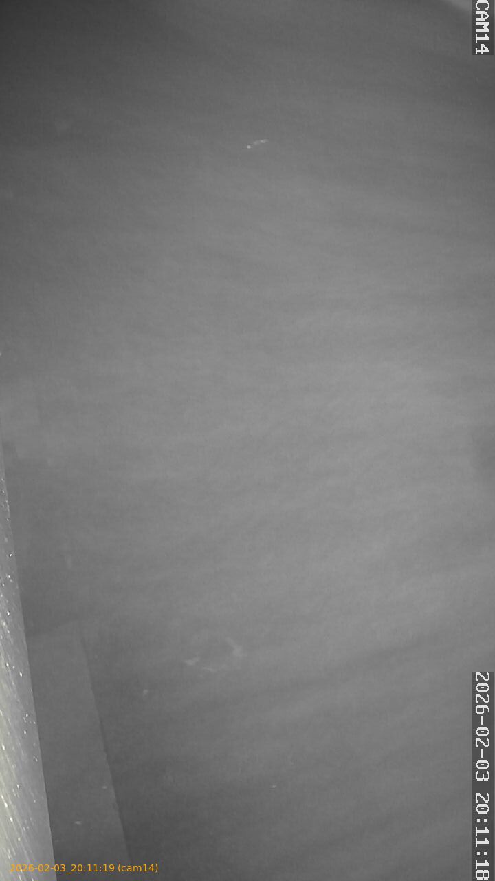 thumbnail_20260203201119