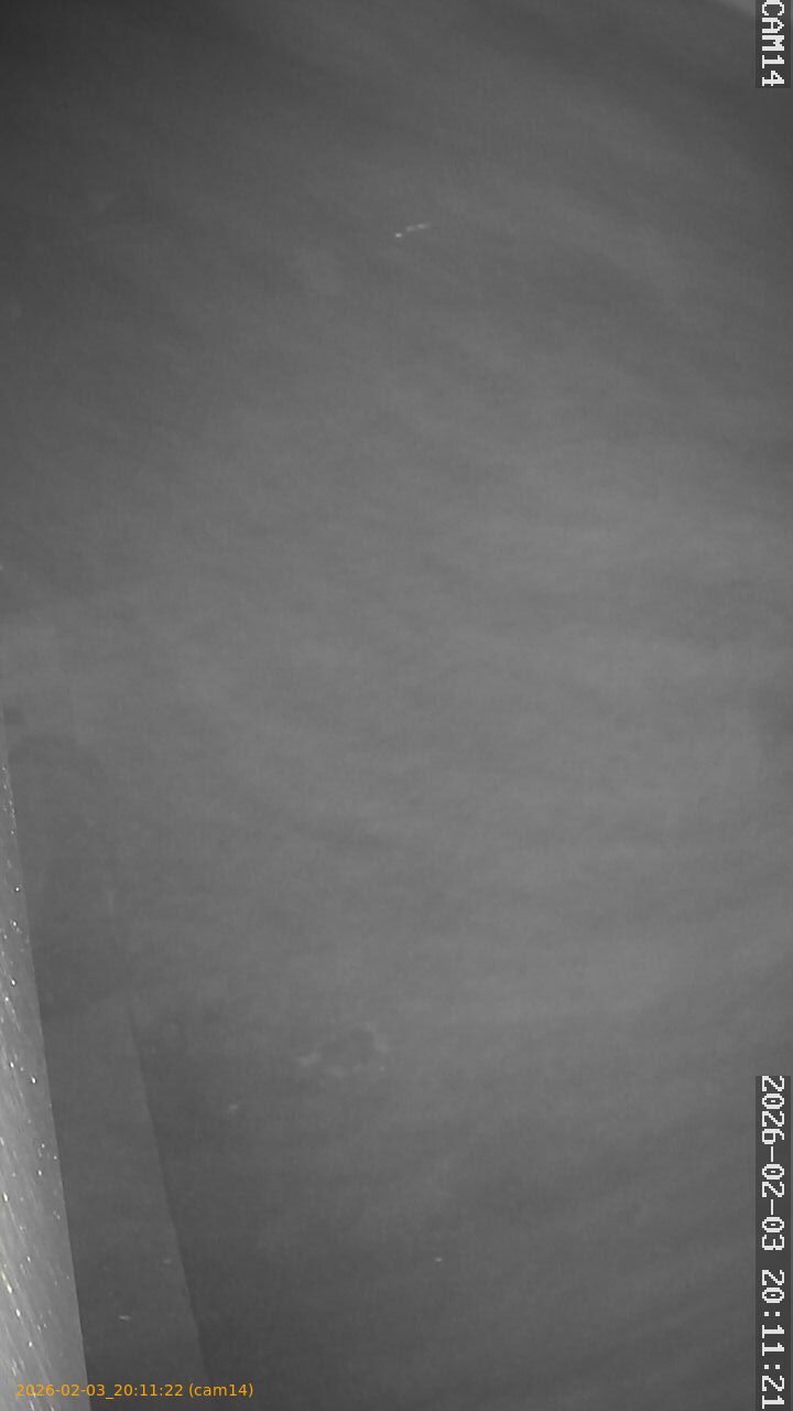 thumbnail_20260203201122