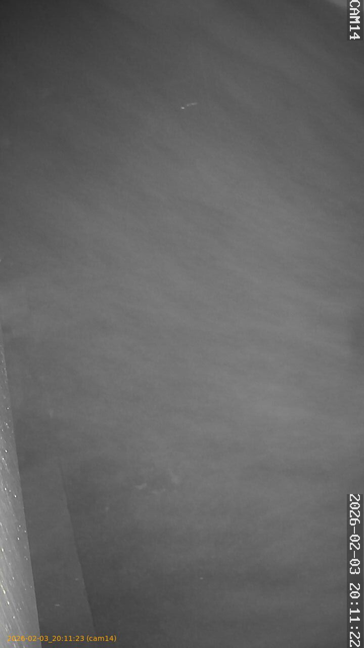 thumbnail_20260203201123