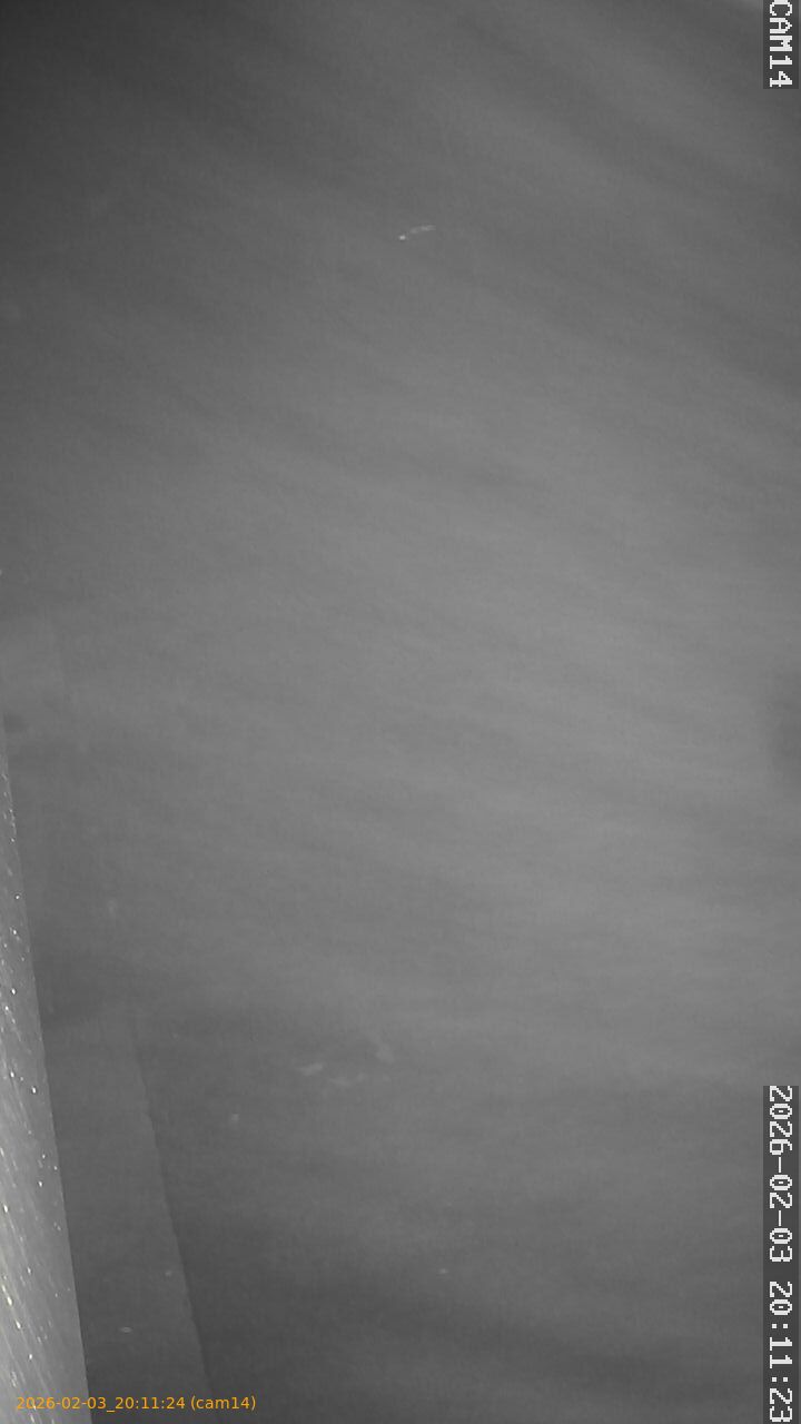 thumbnail_20260203201124