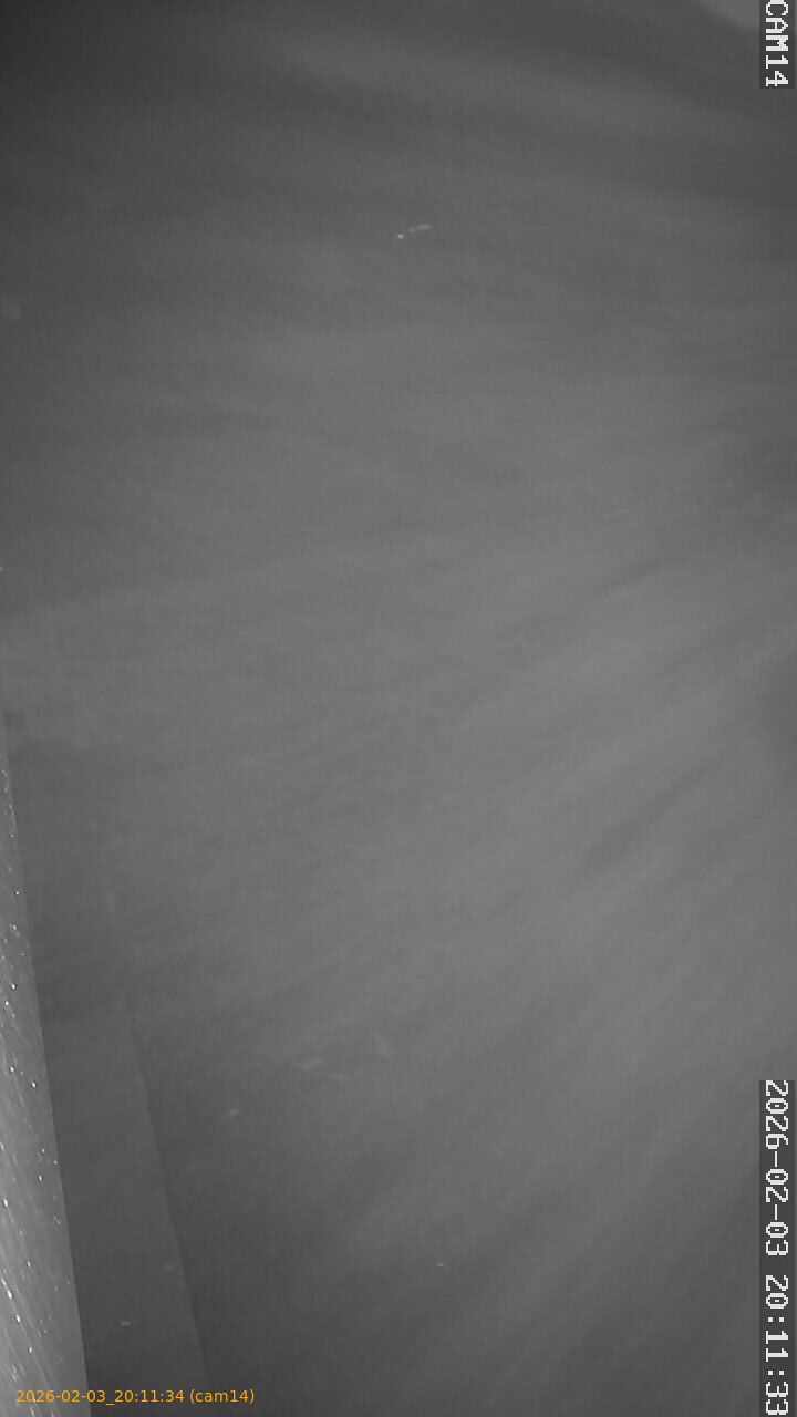 thumbnail_20260203201134