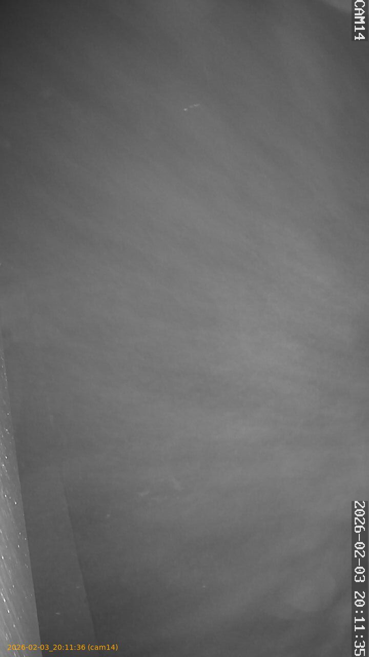 thumbnail_20260203201136