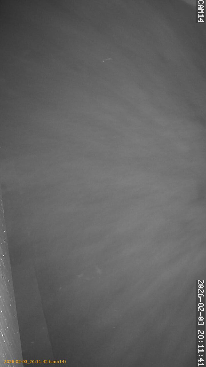 thumbnail_20260203201142