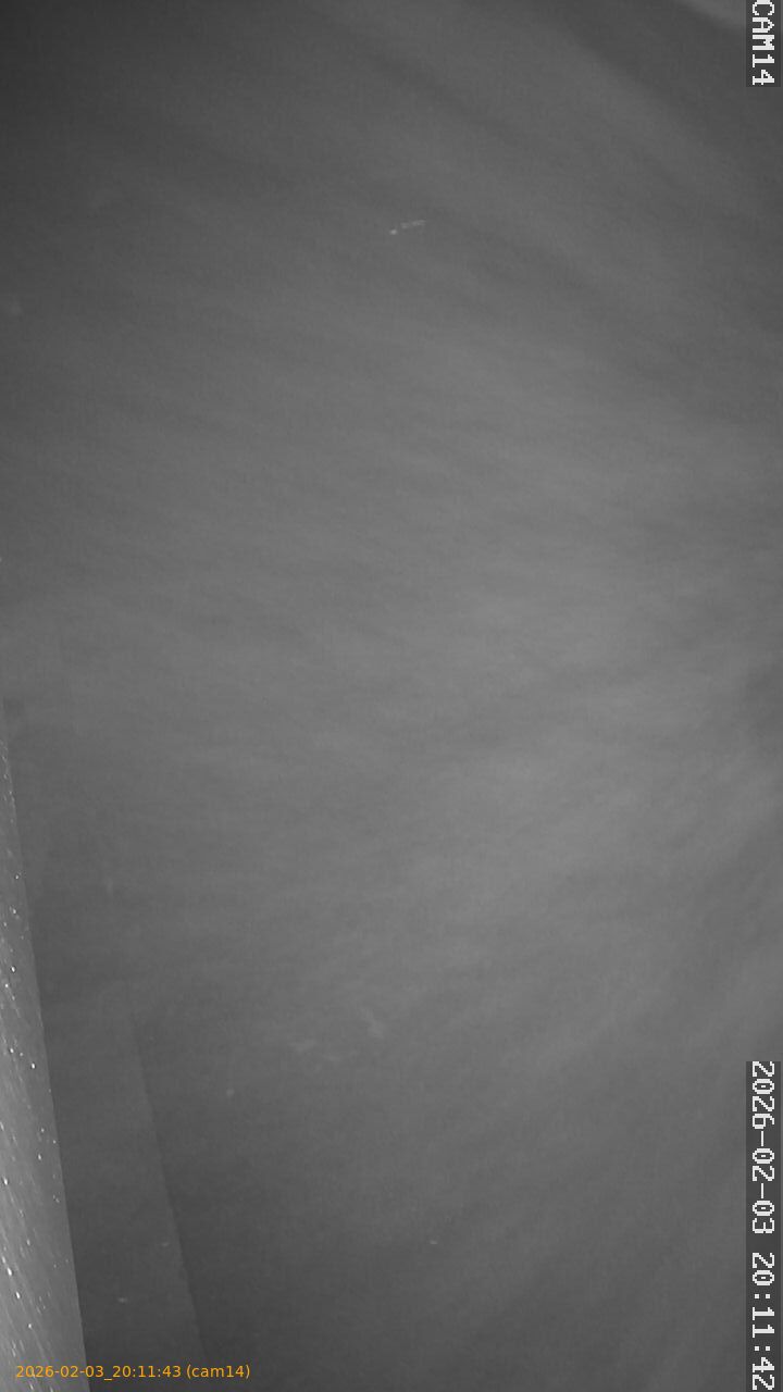 thumbnail_20260203201143