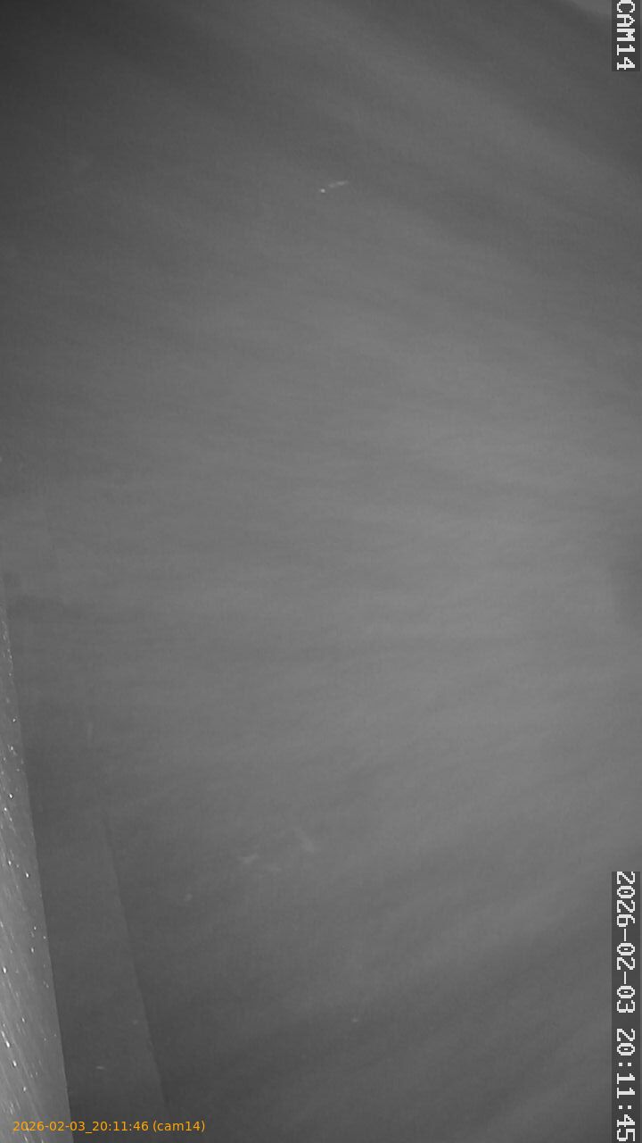 thumbnail_20260203201146