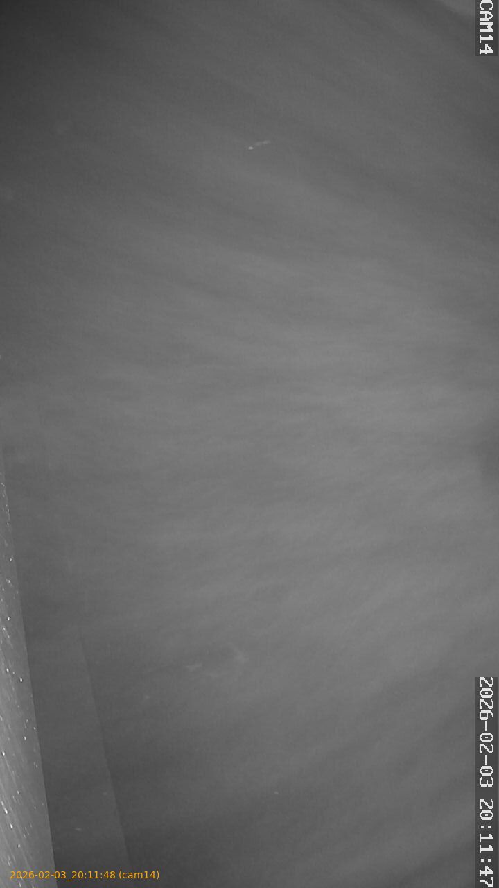 thumbnail_20260203201148