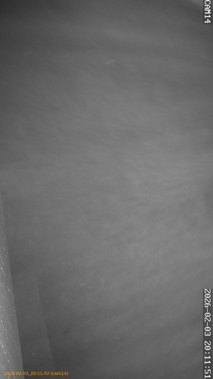 thumbnail_20260203201152