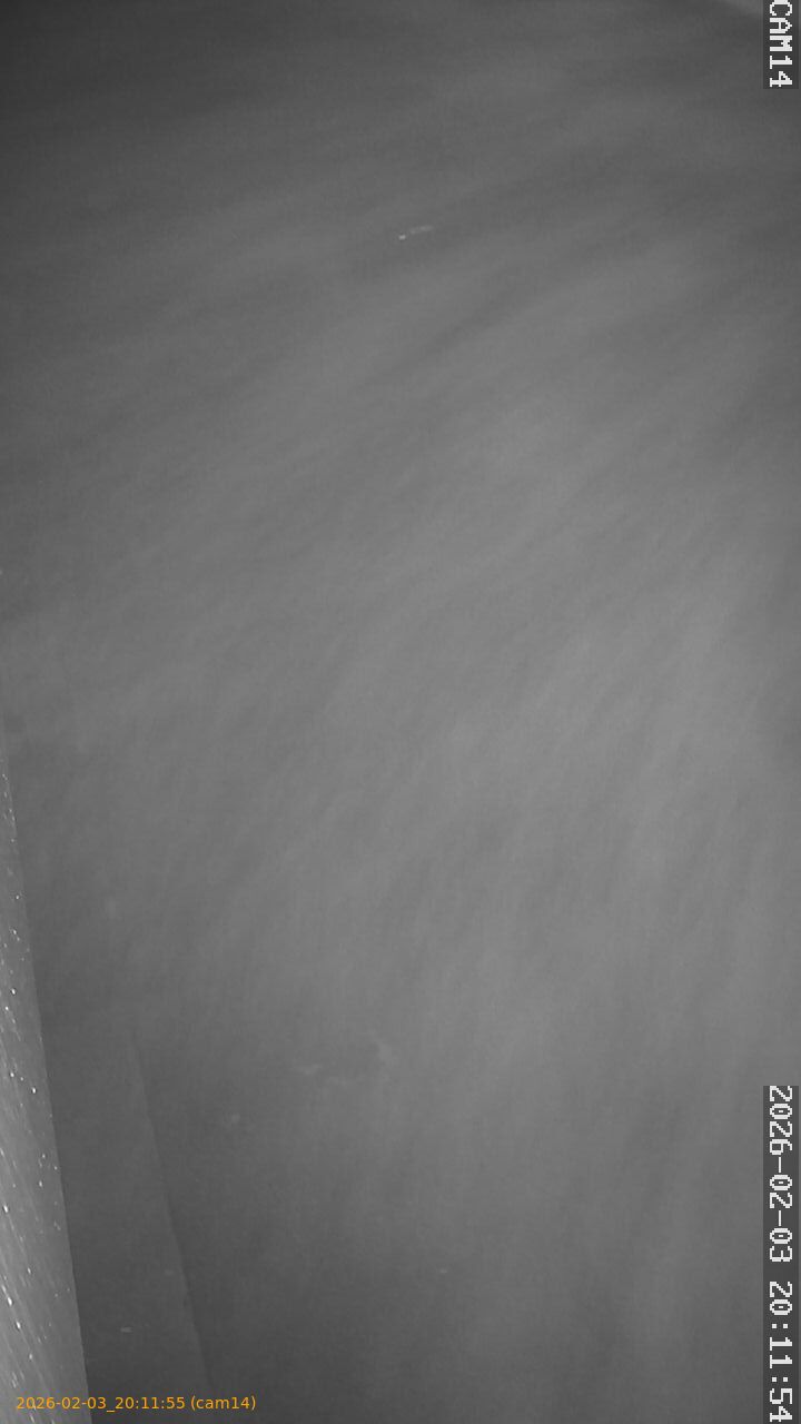 thumbnail_20260203201155