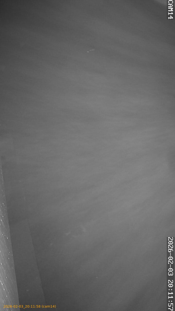 thumbnail_20260203201158