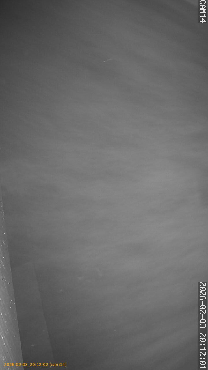 thumbnail_20260203201202