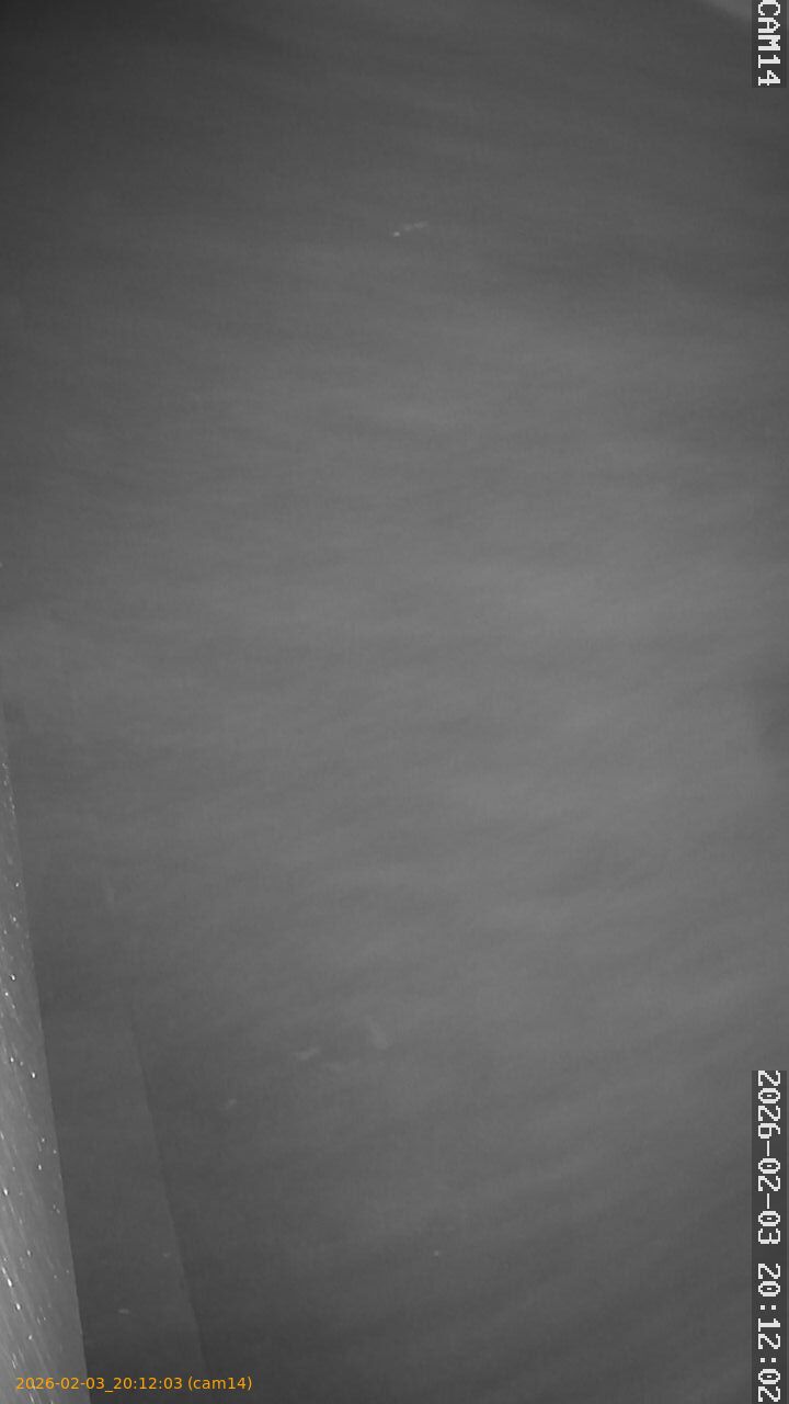 thumbnail_20260203201203