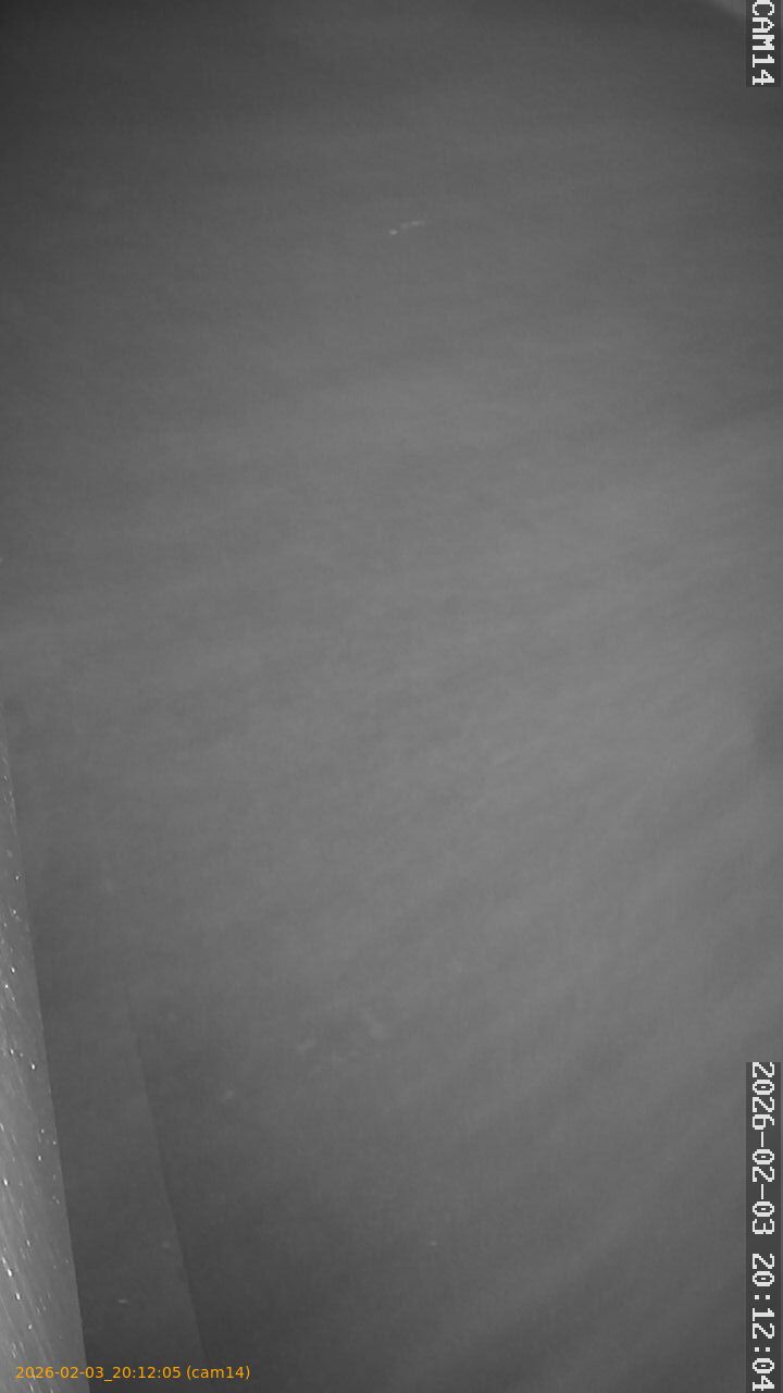 thumbnail_20260203201205