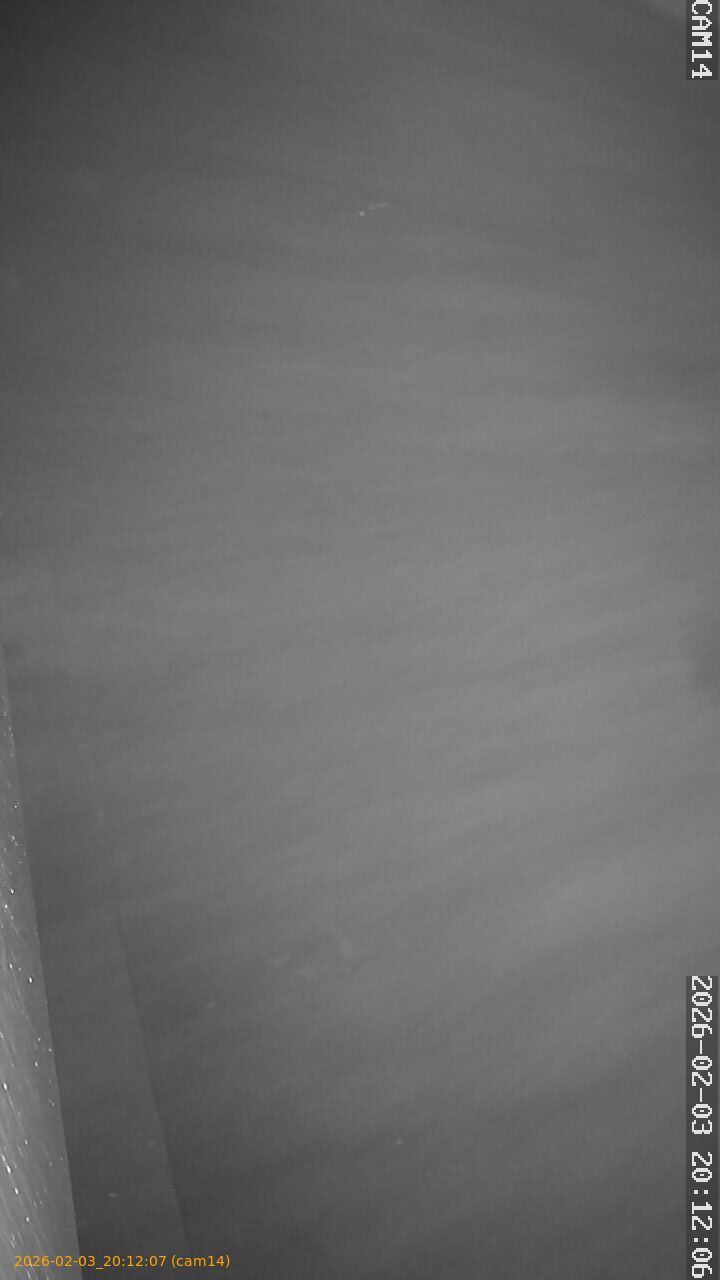 thumbnail_20260203201207