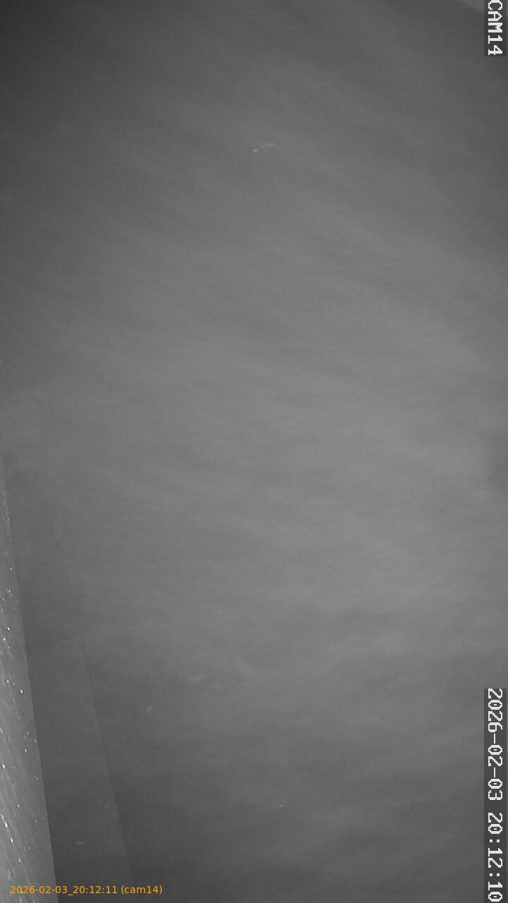 thumbnail_20260203201211