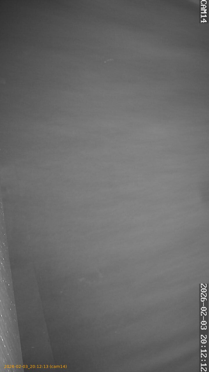 thumbnail_20260203201213