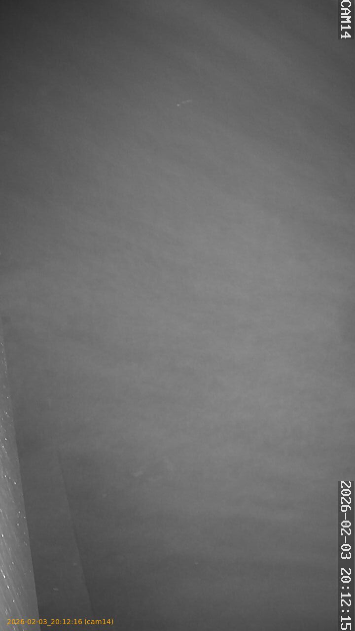 thumbnail_20260203201216