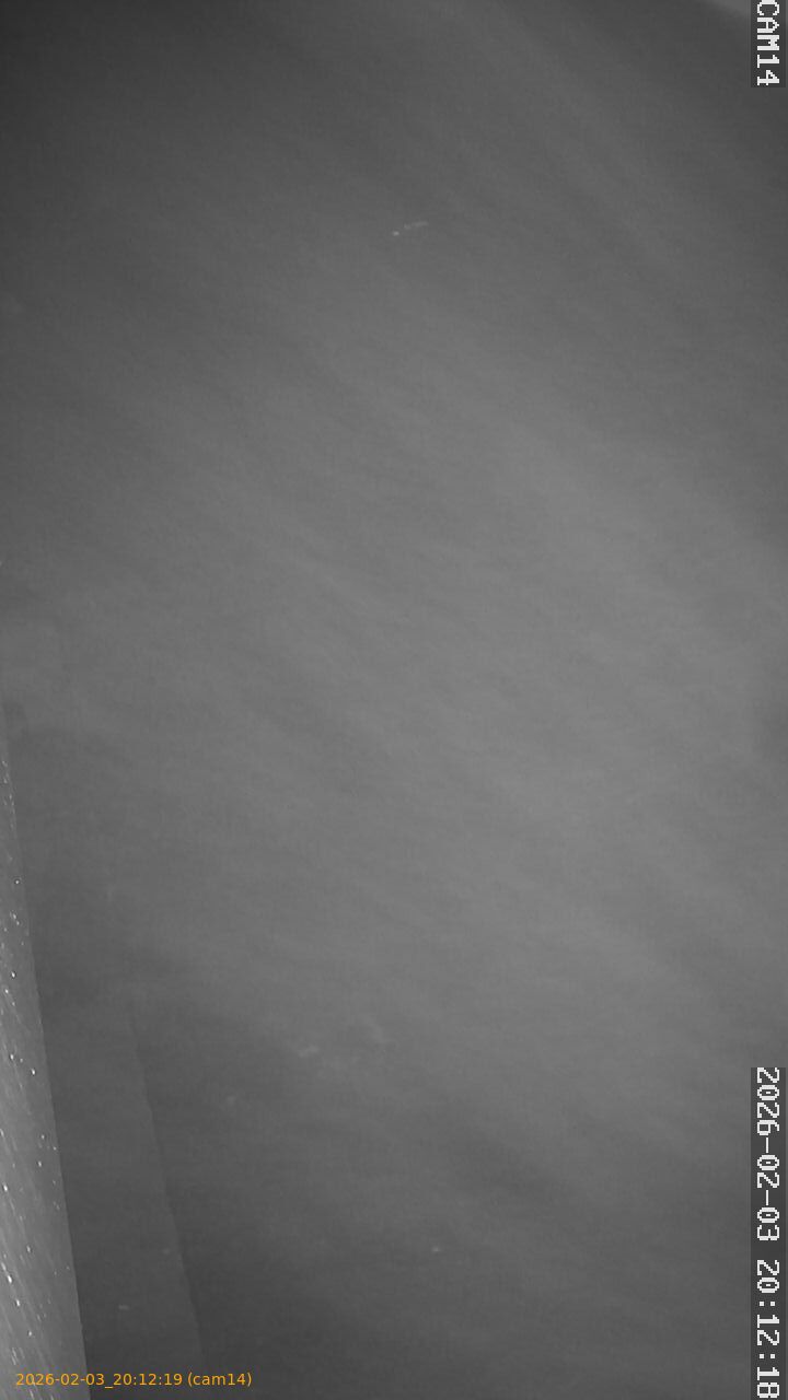 thumbnail_20260203201219