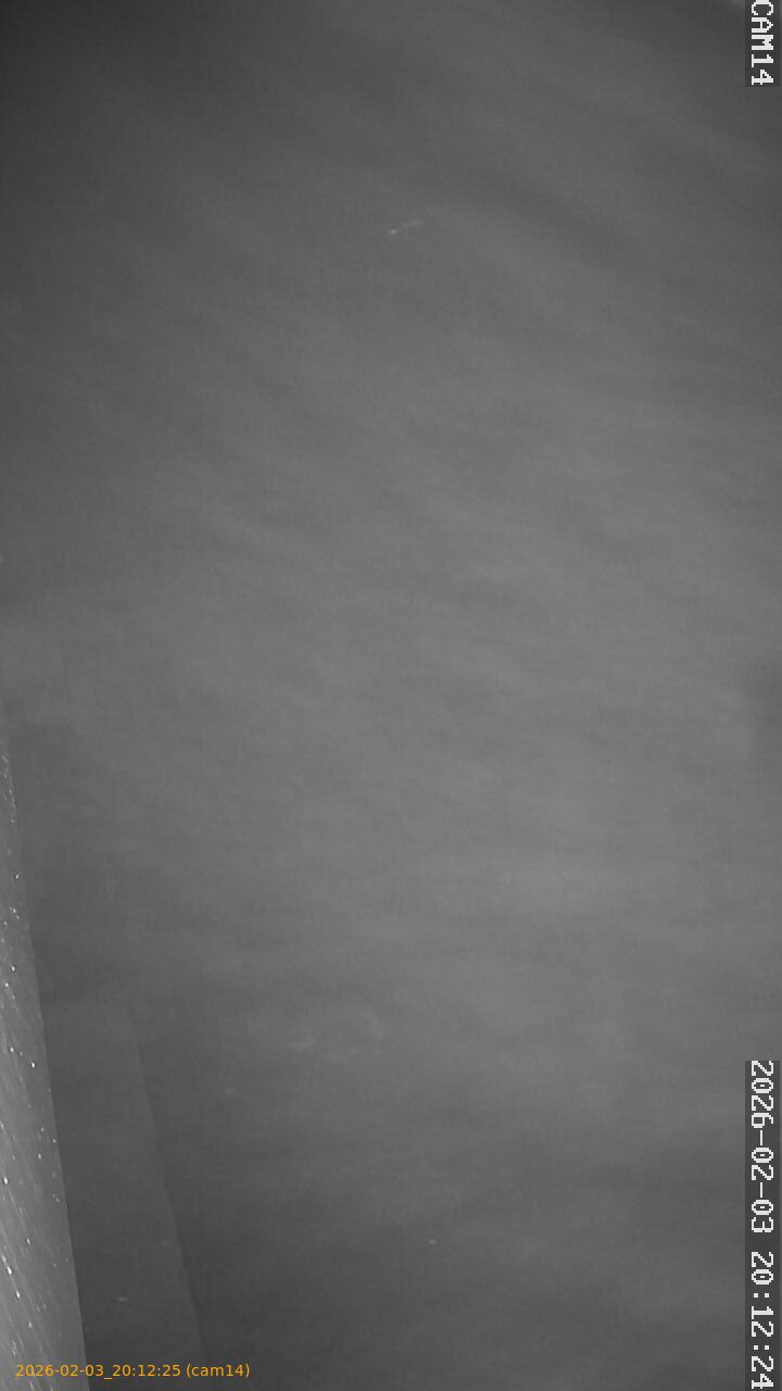 thumbnail_20260203201225