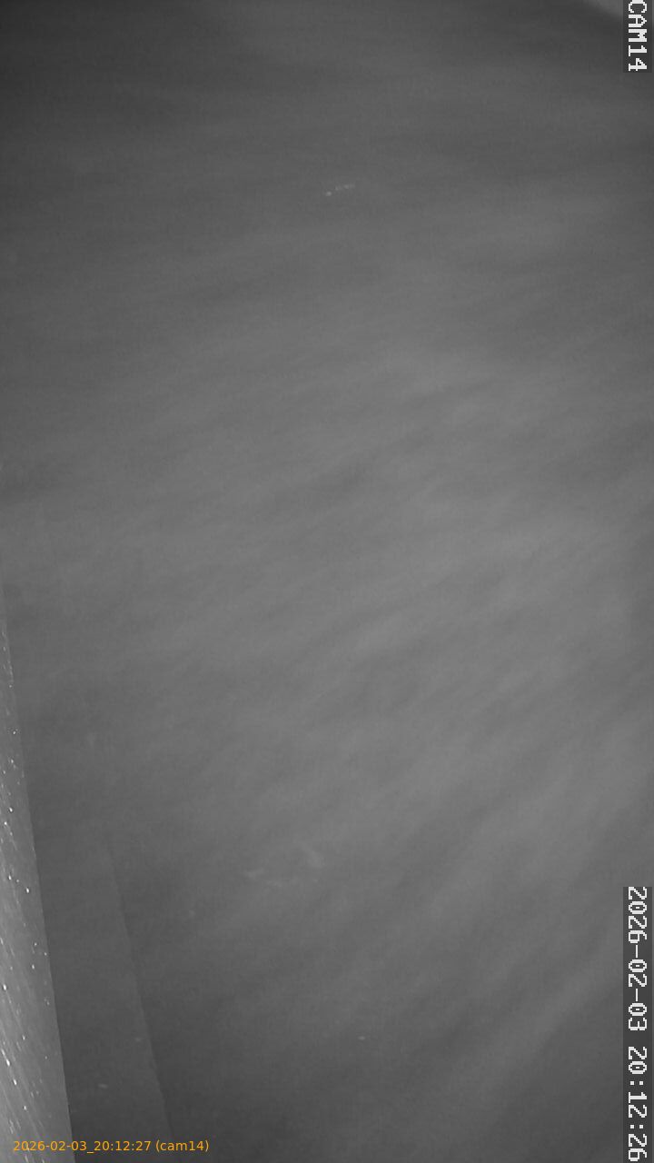 thumbnail_20260203201227