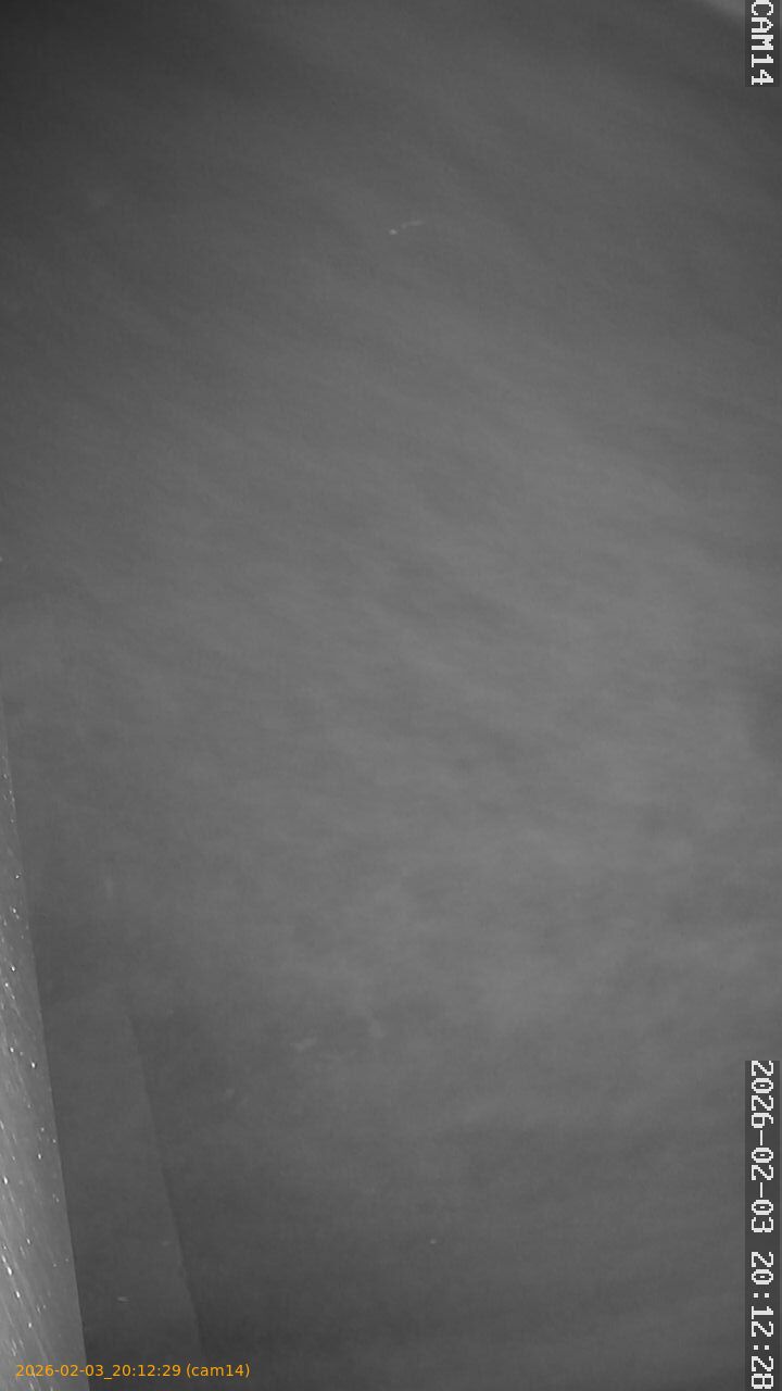 thumbnail_20260203201229