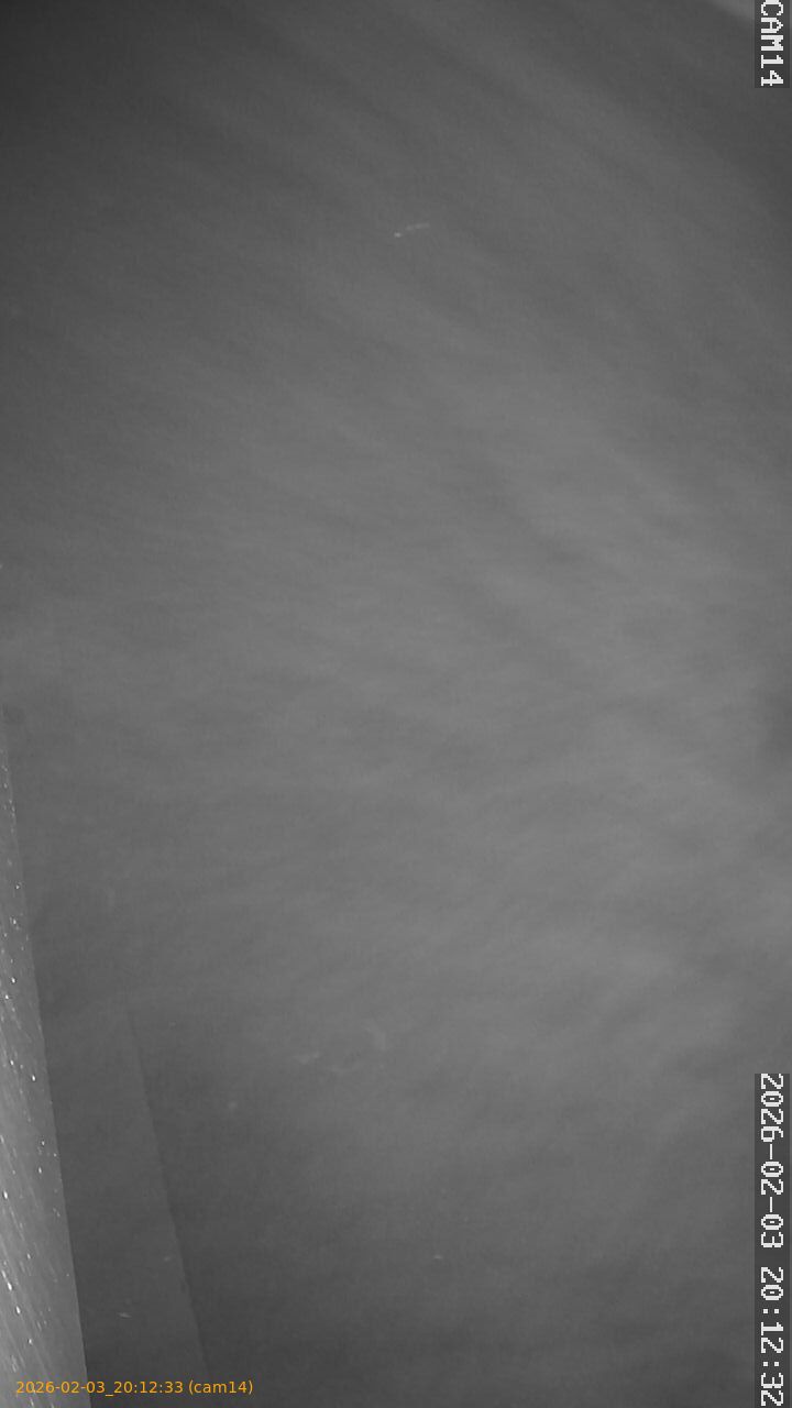 thumbnail_20260203201233