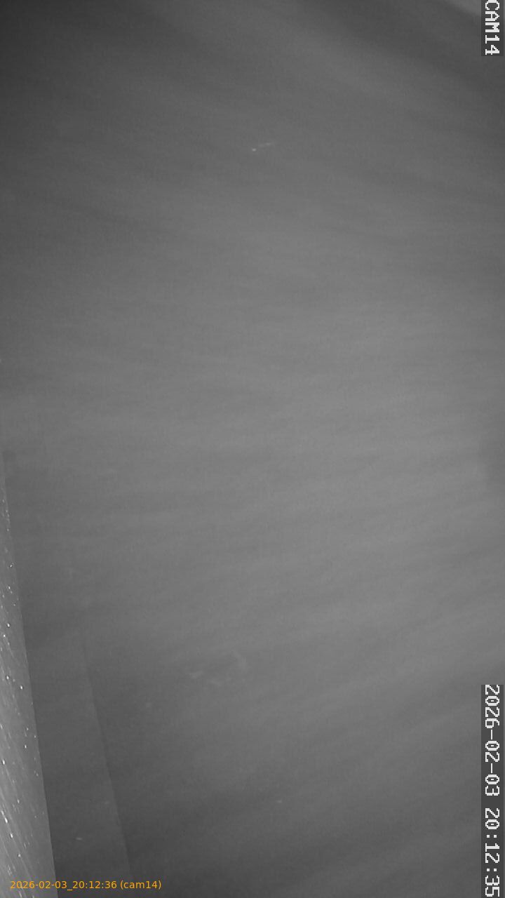 thumbnail_20260203201236