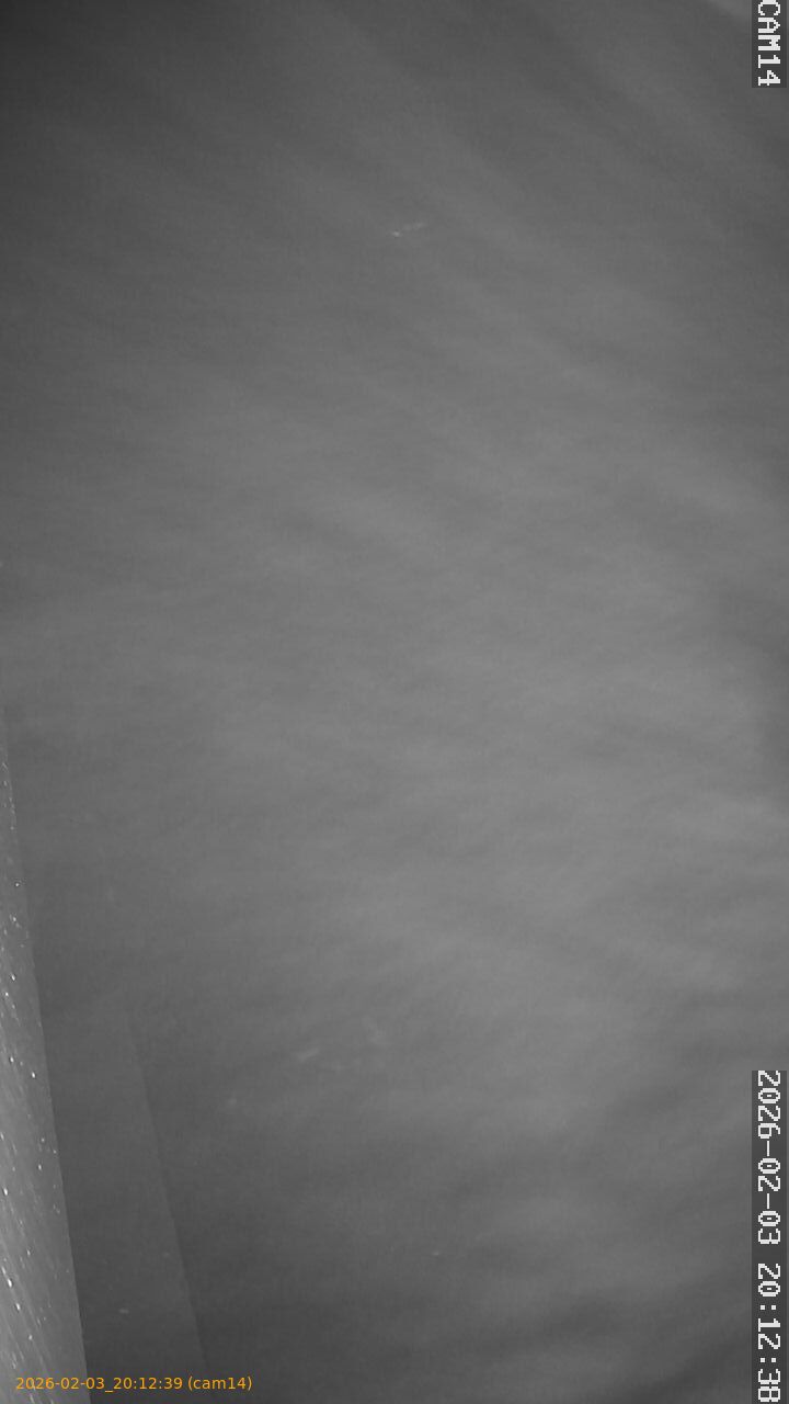 thumbnail_20260203201239