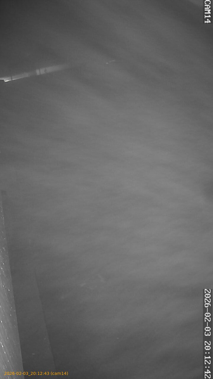 thumbnail_20260203201243