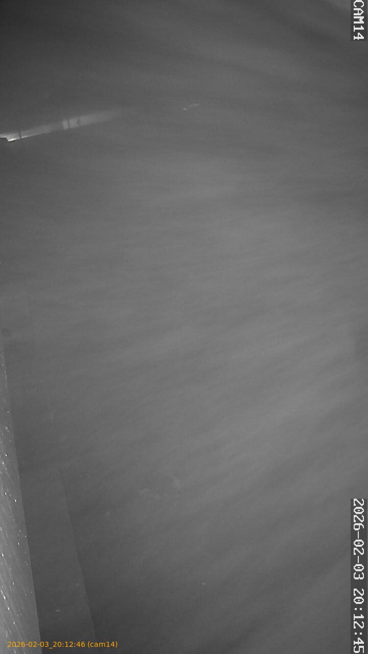 thumbnail_20260203201246