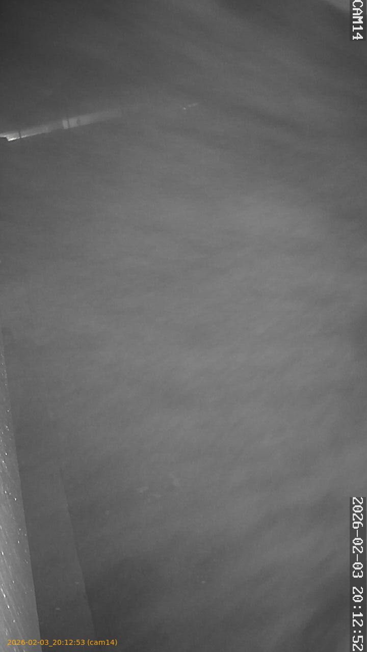 thumbnail_20260203201253