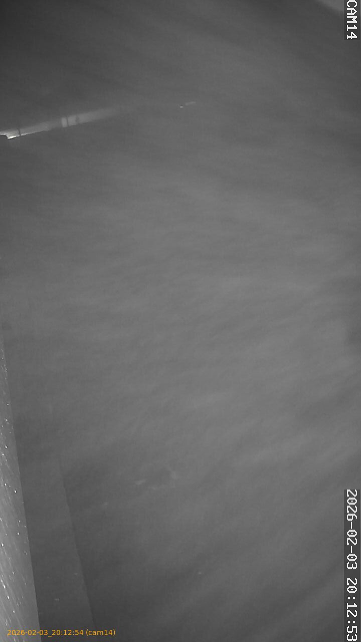 thumbnail_20260203201254