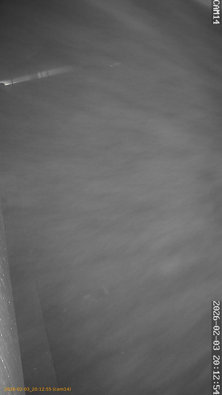 thumbnail_20260203201255