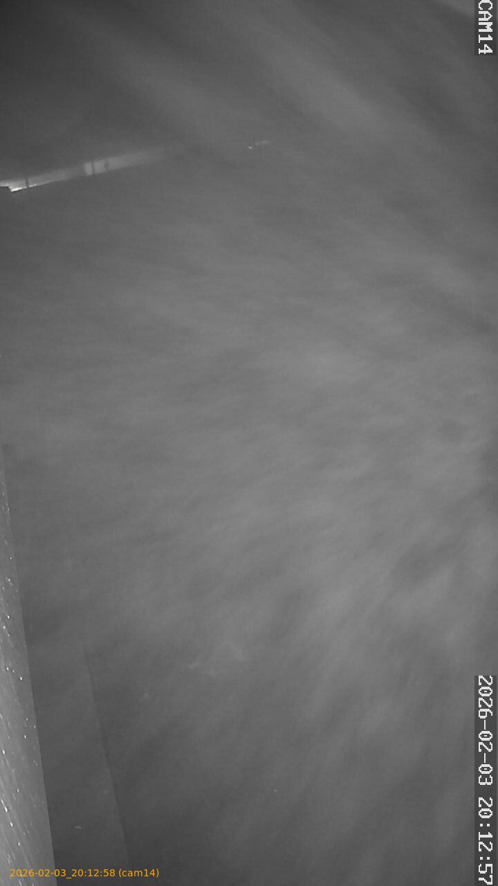 thumbnail_20260203201258