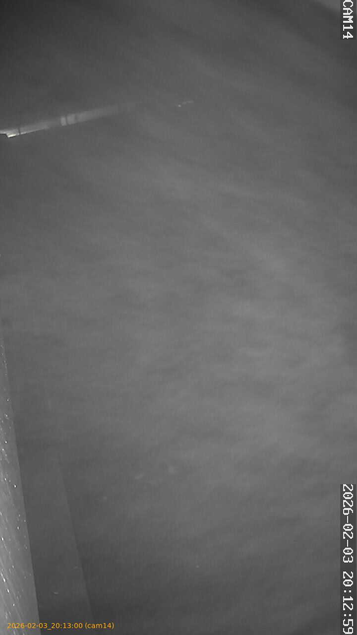 thumbnail_20260203201300