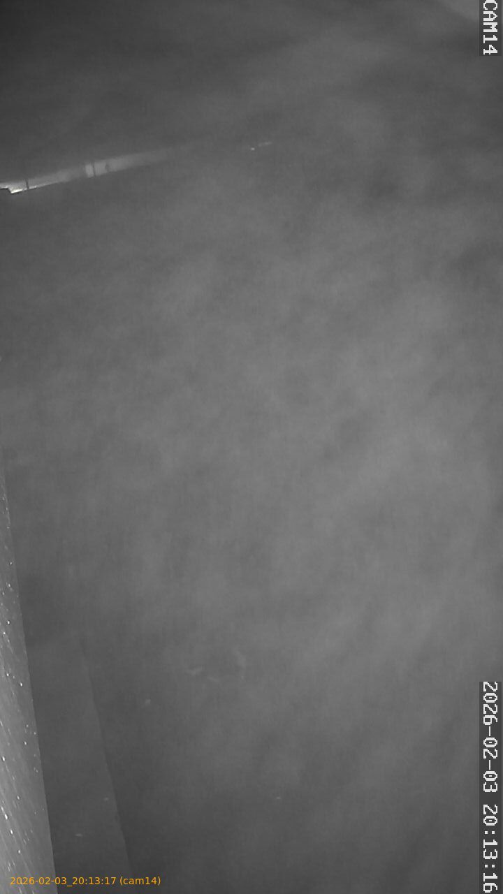 thumbnail_20260203201317