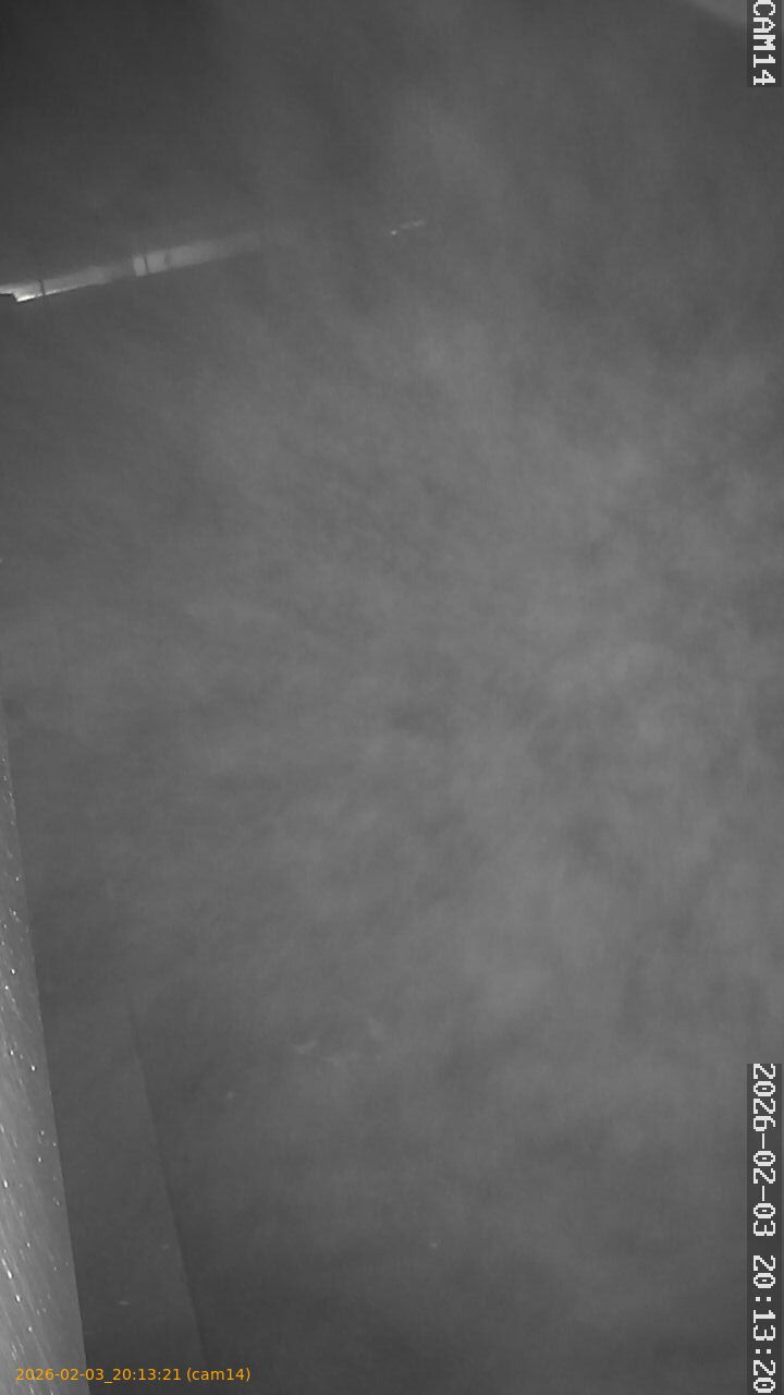 thumbnail_20260203201321